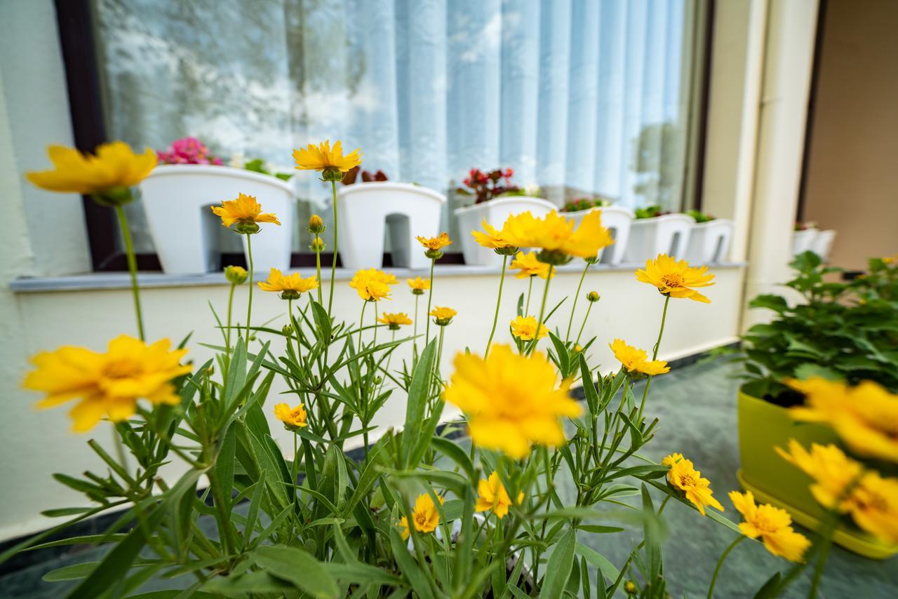 Hotel Villa Aljor Голем Экстерьер фото