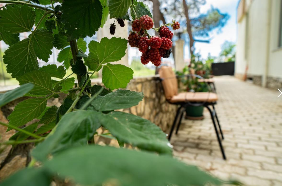 Hotel Villa Aljor Голем Экстерьер фото